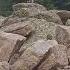 It S A Marmot Marmot Wildlife Mountains Nature Dianarecker7441
