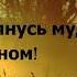 чтец Саад Аль Гамиди Сура 36 Ясин T Me Koran
