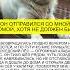 ОН ОТПРАВИЛСЯ СО МНОЙ ДОМОЙ ХОТЯ НЕ ДОЛЖЕН БЫЛ