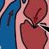 The Cardiovascular System By Peter Weatherall