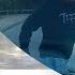 Dash Cam Owners Australia Weekly Submissions May Week 4