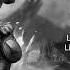 Divinity Original Sin II Lohse S Song Lyric Video