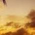 DJ Kent WeeKent SunSets 3