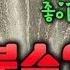 오정쇼 분ㅅㅜ 장인을 만난 뒤 에이V 배우가 됐어요