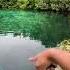 Aquí Hay Un COCODRILO Cenote Manatí Adunadjtv Tulum