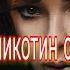 Эллаи никотин с ТЕКСТОМ Lyrics