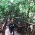 Arroceros Forest Park Ermita Manila
