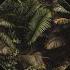 The Oddness Jungle Stories Original Mix MŎNɅDɅ