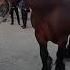 VID 20250313 WA0019