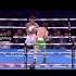 CONLAN VS WOOD Mix Fighting