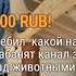 Мопс залип