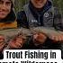 How We Caught Brook Trout Fly In Fishing Trip