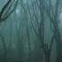 Dark Forest Shankra Festival Blisargon Demogorgon Shankra Festival 2018 Music Application