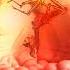 Thirteen Senses Into The Fire Leagan Cover