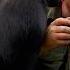 Bill Bailey Encounters Flying Frogs Birds Of Paradise BBC Earth