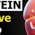Top 10 Best PROTEIN Sources To Lower CREATININE Prevent KIDNEY Damage Senior Health Tips