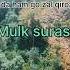 Mulk Surasi Juda Gozal Qiroat Shorts Short Mulk Quran Quroni Karim Taborak Ilmu Qori Surah