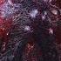 DMC5SE Urizen STAGE99 Nero Dante Vergil
