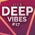 VICE DEEP VIBES 17