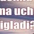 Шукурулло домла нега йиглади Shukurullo Domla Nega Yigladi