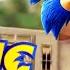 Sonic Best Scenes Baby Dance Coffin Dance Meme COVER 2