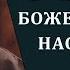 4 вида Божественного наставления Хадис аль Кудси 2 Шейх Мухаммад Ратиб Набульси