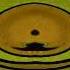 PBS Kids Dash Effects Round 2 Vs Me Everyone