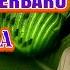 DJ BOLA H ONA SUTRA DANGDUT REMIX FULL BASS TERBARU DJ ARIS