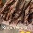 смех юмор я в отпуске ураааа