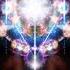 Majed Salih Nemasiotes Original Mix