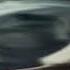 MORGENSHTERN Дуло Bass Boosted X10000
