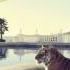 Tyga Drive Fast Live Young Official Instrumental