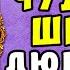 АУДИОКНИГА ЛЮБОВНОЕ ФЭНТЕЗИ ЧУДЕСА В ШКАФУ ЧИТАЕТ АЛЛА ЧОВЖИК СЛУШАТЬ ПОЛНОСТЬЮ 2024
