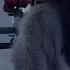 Alan Walker Arvy Nacht Something Just Like This Official Music Video