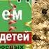 Новый год у соседей Праздник для детей и взрослых своими руками влог америка новыйгод