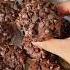 Double Chocolate Banana Muffin Ahorts