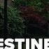 Pro Palestine Activists Spark Controversy With Support For Accused Israel Embassy Staffer Shooter