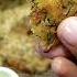 Rava Rotti Food Foodlover Foodaddict Rava Roti Ms Amaravathi