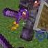 PvP With Gnat