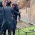 Last Day Before Qurbani Danishmeher Camel Video