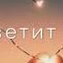 В небе звёзды горят