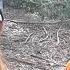 Couple Clears Land For Home Build In 6 Days