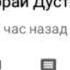 шон мс дусти нони нав 2017