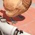 Watch This CS Video Or The Chicken Gets It