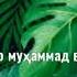 Мавлуд Маро бо худат то сурайё бибар