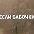 Пчелы объявили Скайриму Войну