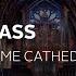 Sunday Mass In English From Holy Name Cathedral 5 25 2025