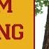 Swarm Trapping Swarm Trap Design Scientific Based Strategies Based On Dr Tom Seeley S Research