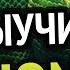Как выучить Python Самый аху способ