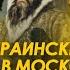 Украинский след в Московии как появилась Российская империя Арестович Чедолума